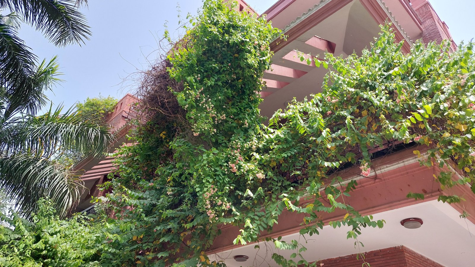 Educational Architecture